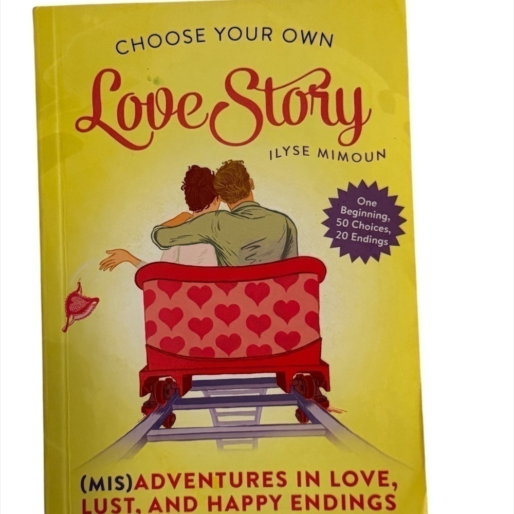 Choose Your Own Love Story by Ilyse Mimoun